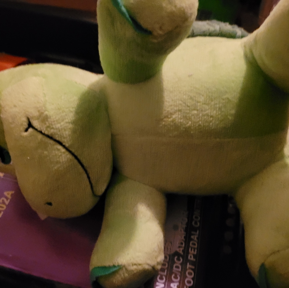Turtle - Picture 4 of 4